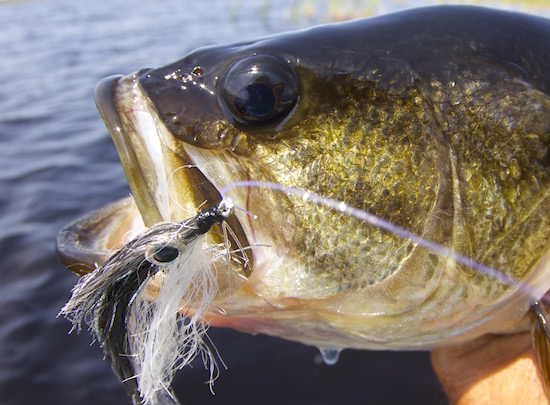 Flies & Soft/Hard Beads - Bass & Pike Flies - Bass & Pike Flies