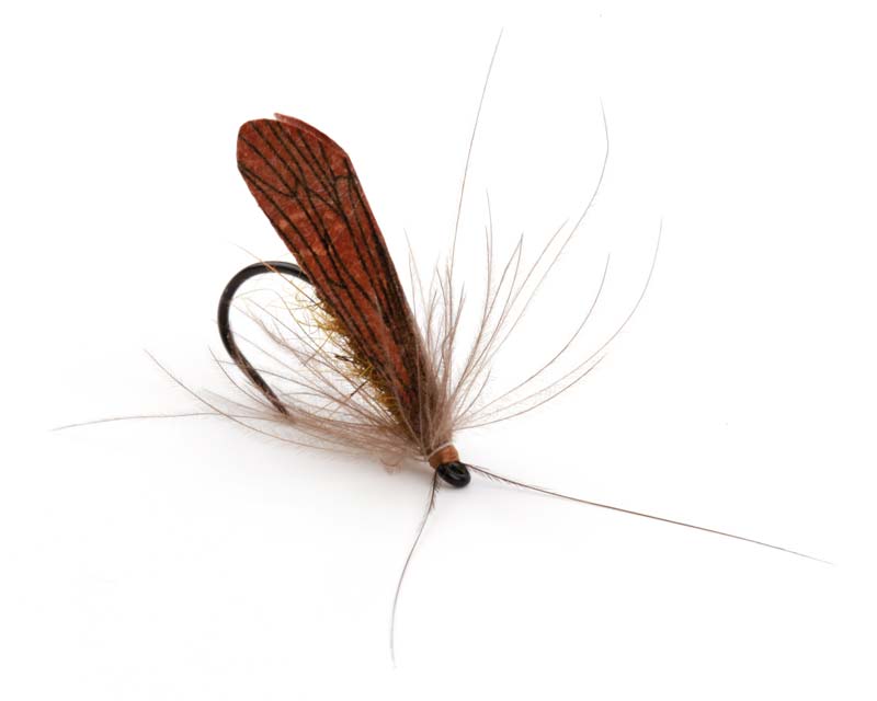 pro-caddis-wing-2.jpg