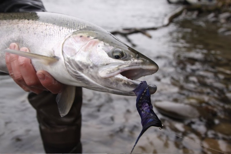 Flies & Soft/Hard Beads - Salmon & Steelhead - Salmon & Steelhead