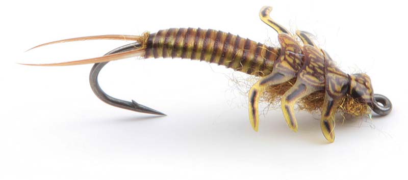 stonefly-brown.jpg